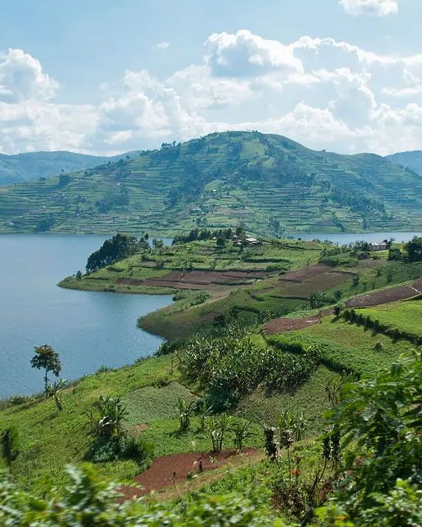 Environmental Consultancy